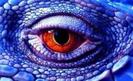images (6)