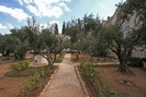 Ierusalim, Gradina Getsemani