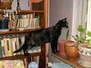 februarie_ 014