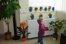 AM VENIT SA-TI VAD FLORILE!