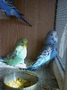 IMAG0793