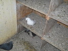 DSCN0284