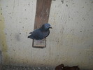 DSCN0285