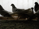 DSCN0289