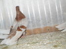 DSCN0290