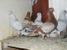 DSCN0291