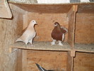 DSCN0294