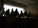 DSCN0298
