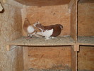 DSCN0299