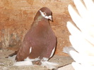 DSCN0302