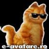 avatare_gratuite_5a3c00b7b12fae5d4d5238c9287d9953