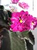 DSC02028