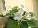 DSC01969