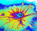 fin_morris_feuer_3_multicolor[1]