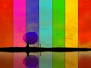 multicolor-reflection[1]