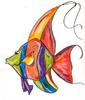 Poisson-multicolore[1]