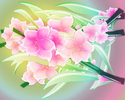 pspfllowerdesktop2multicolor%20copy[1]