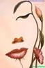 images[2]