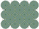rotsnake[1]