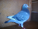 DSC04692