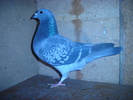 DSC04701