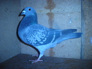 DSC04702