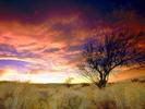 Peisaje Wallpapers_ Vale in California