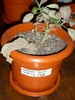 18 feb 2011