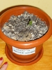 18 feb 2011