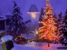 colorado_village-1024x768[1]
