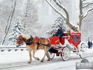 Poze de-Craciun si-Colinde[1]