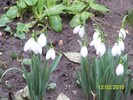 10845495_YXEGGEWGV
