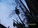 10845517_QOLXOSLJB