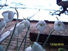 10845518_WGGDNUHFV