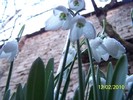10845519_IMYKZRYJU