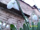 10845521_TXOTNDELR