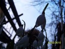 10845523_WXBYTHEXV