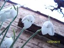 10845525_YEBUNNSYM