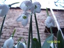 10845528_VOTNKROJL