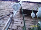 10845530_WNISMNTHB