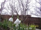 10845471_LPRCAOIYW