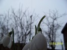 10845472_XURHNJVER