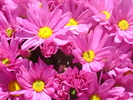 DSC07959