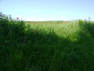 DSC08004