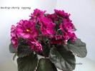 DSC02279