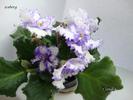 DSC02286