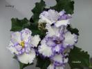 DSC02288