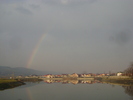 DSC04229