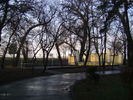 DSC04248