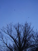 DSC04299